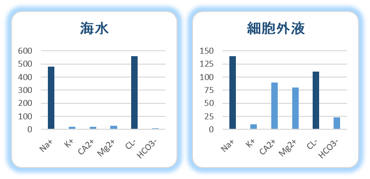 美は健康に宿る 太古の海の成分と私たちの細胞とのつながり ディアサーナ