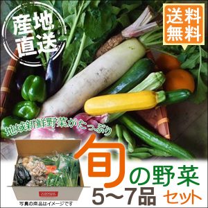 産地直送 旬の野菜セット（5～7品目）有機栽培 野菜 詰め合わせ 奈良 和歌山 三重