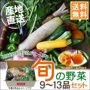 産地直送 旬の野菜セット＋果物1品（9～13品目）有機栽培 野菜 詰め合わせ 奈良 和歌山 三重