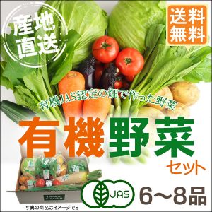 産地直送 有機野菜セット（6～8品目）有機栽培 野菜 詰め合わせ 有機野菜 セット 奈良