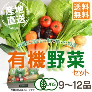 産地直送 有機野菜セット（9～12品目）有機栽培 野菜 詰め合わせ 有機野菜 セット 奈良